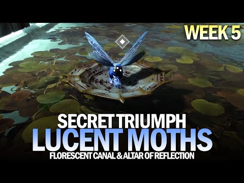 All Lucent Moth Locations Guide - Week 5 (Florescent Canal & Altar of Reflection) [Destiny 2]