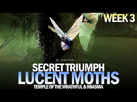 All Lucent Moth Locations Guide - Week 3 (Temple of the Wrathful & Miasma) [Destiny 2]